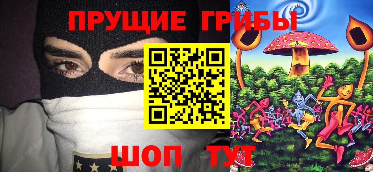 Новокубанск  Галлюциногенные грибы Psilocybe  Вход с VPN 